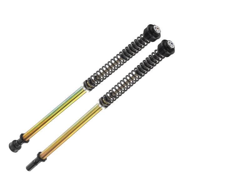Bitubo Suspension Bitubo JBHV1 Pressurized Cartridge Adj.: Spring Preload, Rebound, Comp., w/o Oil, Red Ring Y0163JBH01V1WO