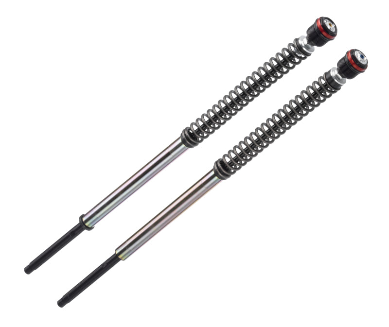 Bitubo Suspension Bitubo JBH0 Pressurized Cartridge Adj.: Spring Preload, Rebound, Comp., w/o Oil, Red Ring Y0135JBH01WO