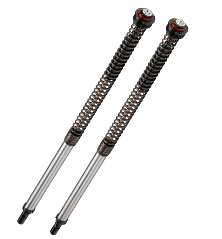 Bitubo Suspension Bitubo JBHV2 Cartridge Adjustable: Spring Preload, Rebound, Compression + 2 Lt. Oil, Red Ring BW048JBH01V2