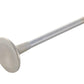 Ford Performance Parts Ford Racing Exhaust Valve 302/351W