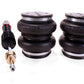 Air Lift Performance Rear Kit for 18-19 Honda Accord 78675