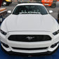 Ford Mustang S550 Carbon Fiber Front Wind Splitter 2015-2017