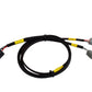 AEM CD-7/CD-7L Plug and Play Adapter Harness for MSD Grid 30-2213