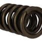 Ford Racing  Replacement Hydraulic Roller Valve Spring - Single (For M-6049-SCJA) M-6513-17341