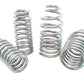 Belltech Muscle Car Spring Kits Buick 92-96 B-body