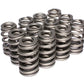 Comp Cams Hi-Performance GM V6 Valve Springs