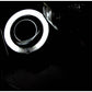 Anzo 2002-2004 Nissan Altima Projector Headlights w/ Halo Black