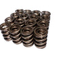 Comp Cams 1.625 H-11 SPRING ASSEMBLY
