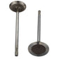 Ford Racing Coyote 5.2L Lightweight Intake Valve - Set of 8 M-6507-M52