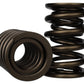 Ford Racing Replacement Valve Springs (TVS-1734) - Set Of 8 M-6513-17348