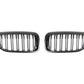 BMW G30 DUAL SLAT CARBON FIBER GRILLES