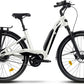 2022 Fantic LIVING CITY(Demo bikes)