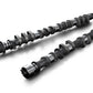 Tomei Camshaft Poncam/ Procam 4AG
