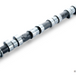 Tomei Camshaft Poncam/Procam 4G63