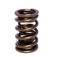 COMP Cams Valve Spring 1.550in Dual 26089-1