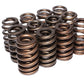 Comp Cams 1.240 BEEHIVE SPRING