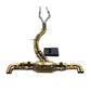 Titanium Valved Catback Exhaust System for Audi Q8 RSQ8 4.0T