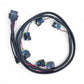 ReFlex LITE: Advanced Sequential Injector Controller