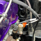PREORDER Street-Spec PNP - Honda K-Series Engine Wiring Harness 05/06 – Version 3 K-Tuner