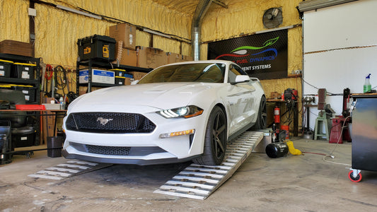 ProFlex DX for 2018-23 5.0L Mustang GT and Mach 1