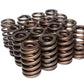 Comp Cams 1.240 BEEHIVE SPRING