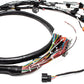 PREORDER Honda K-Series Plug & Play Street-Spec Engine Wiring Harness – Version 3