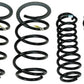 Ford Coil Spring Set Front & Rear - Corbra Jet FRDM5300-RA