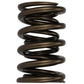 Ford Racing  Replacement Hydraulic Roller Valve Spring - Single (For M-6049-SCJA) M-6513-17341