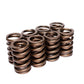 COMP Cams Valve Springs 1.250in Outer W/ 981-8