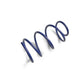 Ford Performance Parts Ford Racing 2012-2013 BOSS 302 Lowering Springs