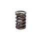 Comp Cams 1.480 OUTER W/DAMPNER