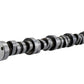 Ford Performance Parts Ford Racing Small Block V-8 Hydraulic Roller Tappet Camshafts