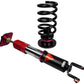 Godspeed Infiniti G35/G35X Sedan AWD (V35) 2004-06 Coilovers