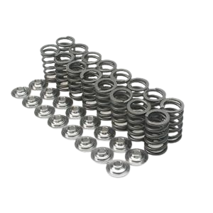Brian Crower Honda/Acura B18C/B16A/B17A & Nissan KA24DE Dual Valve Springs