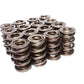Comp Cams 2.100" Triple Drag Race Springs