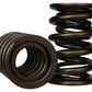 Ford Racing Replacement Valve Springs (TVS-1734) - Set Of 8 M-6513-17348