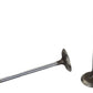 Ford Racing Coyote 5.2L Lightweight Intake Valve - Set of 8 M-6507-M52