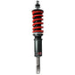 Godspeed Audi A6/A6 Quattro C6/C7/C8/4K Coilovers