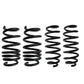 2017-22 Tesla Model 3 Racing Front Rear Lowering Springs Suspension kit US
