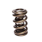 COMP Cams Valve Spring 2.200in Drag Race 26028-1