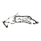 Ford Performance Parts Ford Racing 5.0L Coyote Engine Harness for Automatic Transmission