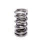 Comp Cams DUAL VALVE SPRING, .660" LIFT, 1.320"