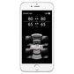 AIRLIFT 3P(1/4"Air Line,2.5 Gallon Lightweight Raw Alum.Tank,VIAIR 444C Comp.)