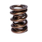 Comp Cams 1.550 2 SPRING ASSEMBLY