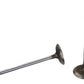 Ford Racing Coyote 5.2L Lightweight Intake Valve - Set of 8 M-6507-M52