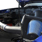 Corsa Performance 10-13 Ford Mustang GT500 5.4L or 5.8L V8 Pro5 Open Element Air Intake