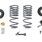 Belltech 2019+ Ram 1500 2WD/4WD (Excludes Classic Models) Rear Pro Coil Spring Pair 45320