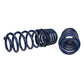 Ford Performance Parts Ford Racing 2005-2014 Mustang GT 1.0in. Track Lowering Springs