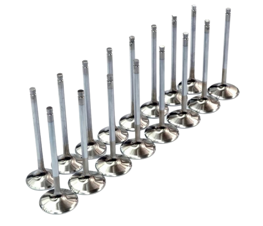 Brian Crower 2021+ Polaris Pro R Stainless Steel Exhaust Valves - 29.2mm (STD)
