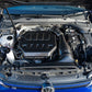 Eventuri VW Golf MK8 GTI / R Black Carbon Engine Cover